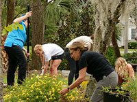 Faculty-directed undergraduate research in the native plant screen-house.