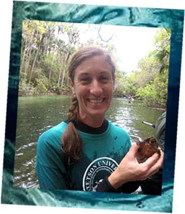 Kirsten Work Professor Biology Biology Professor Kirster Work