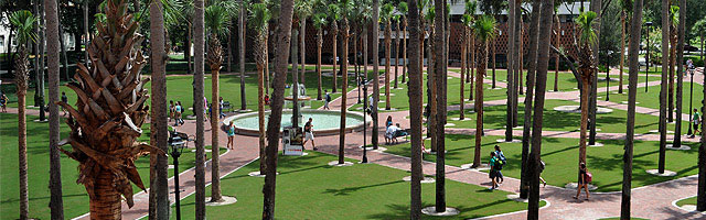 Palm Court view from above