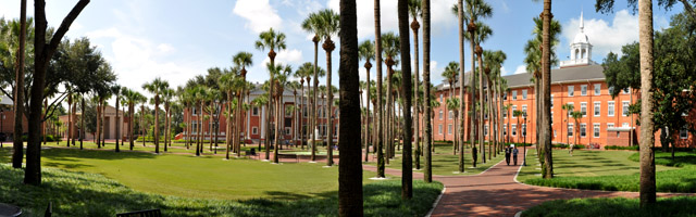 Palm Court view to Sampson and Elizabeth Hall