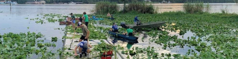 Students working with aquatic plants on Lake Beresford