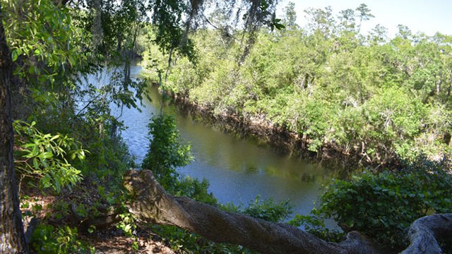 Suwannee River