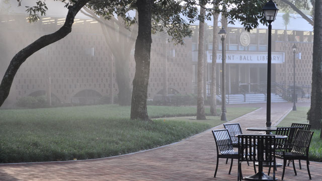 DuPoint Library in Fog