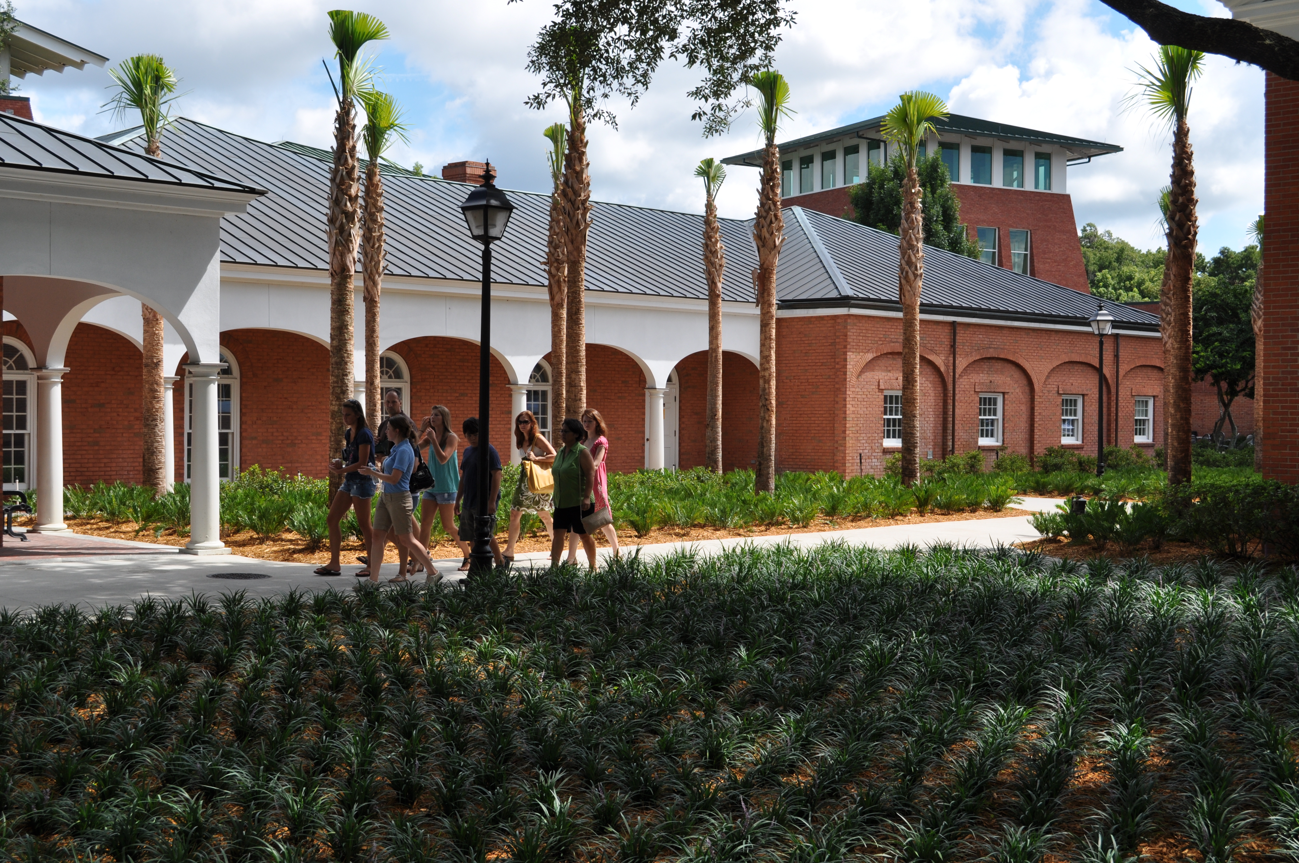 students walking on campus around Griffith Hall