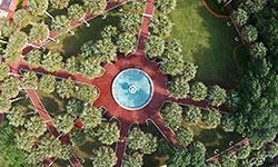 A top-down aerial view of the Palm Court.