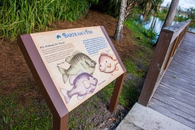 kiosk shows Bartram's drawing of fish and explains about the trout