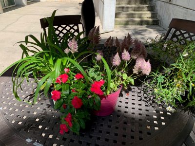 Flower pots sit on a patio table in the Nemec Courtyard